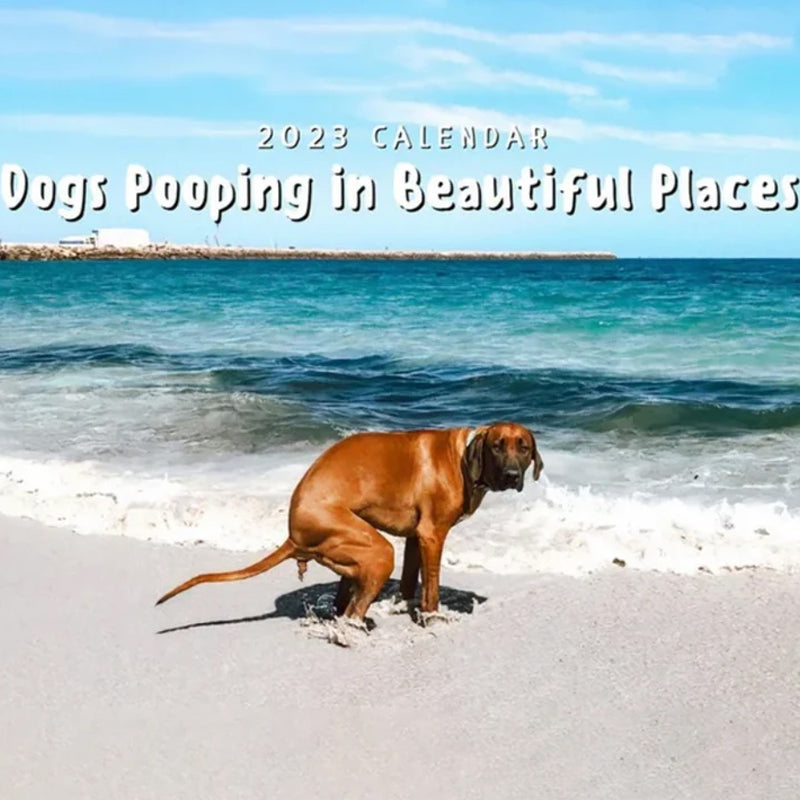 2024 Pooping Pooches Dog Calendar idearock