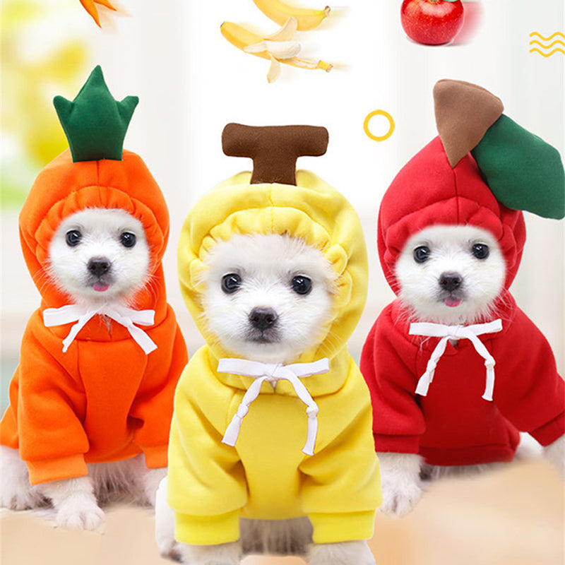 Fruit Pet Coat Hoodies