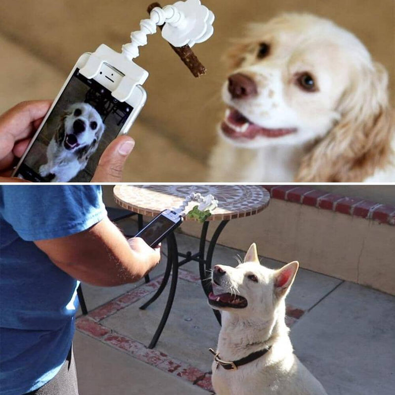 Lovely Pet Selfie Stick