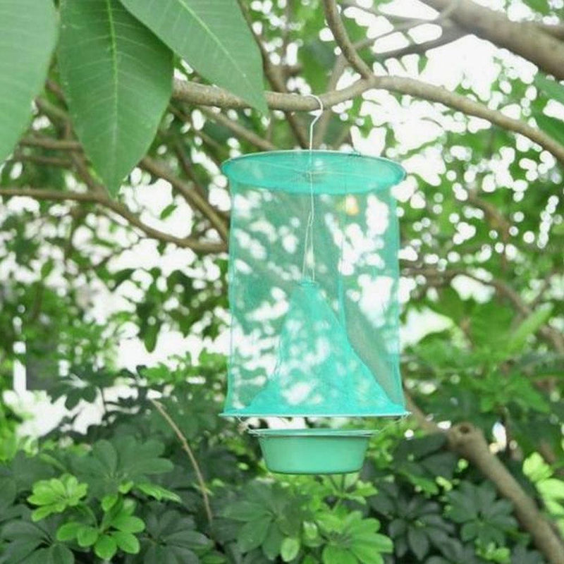 FAST FLY CATCHER - Non Toxic & Reusable